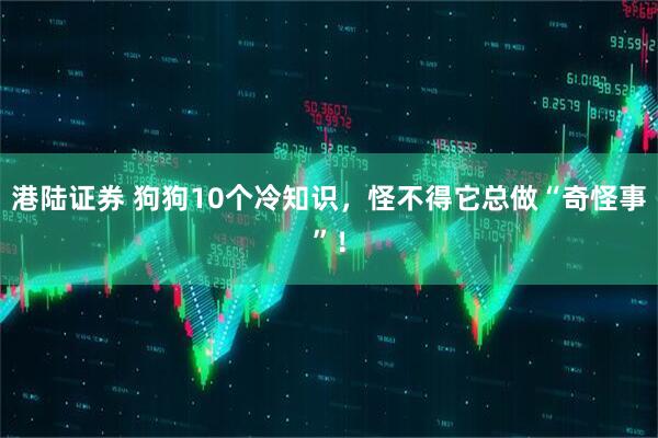 港陆证券 狗狗10个冷知识，怪不得它总做“奇怪事”！