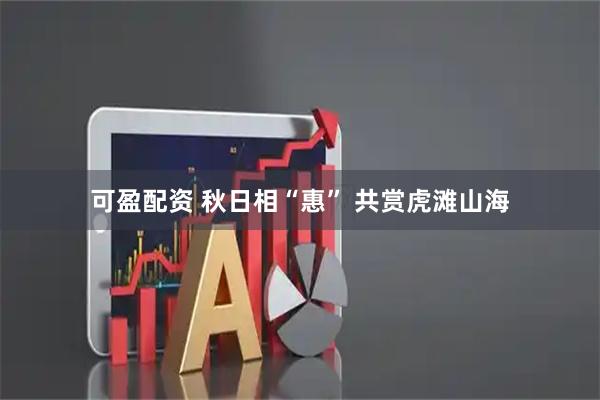 可盈配资 秋日相“惠” 共赏虎滩山海