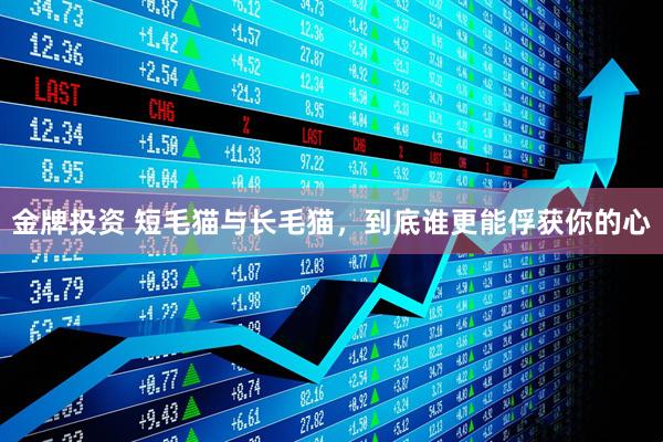 金牌投资 短毛猫与长毛猫，到底谁更能俘获你的心