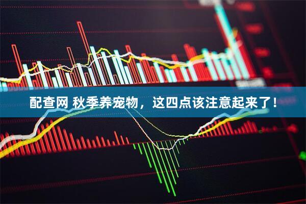 配查网 秋季养宠物，这四点该注意起来了！